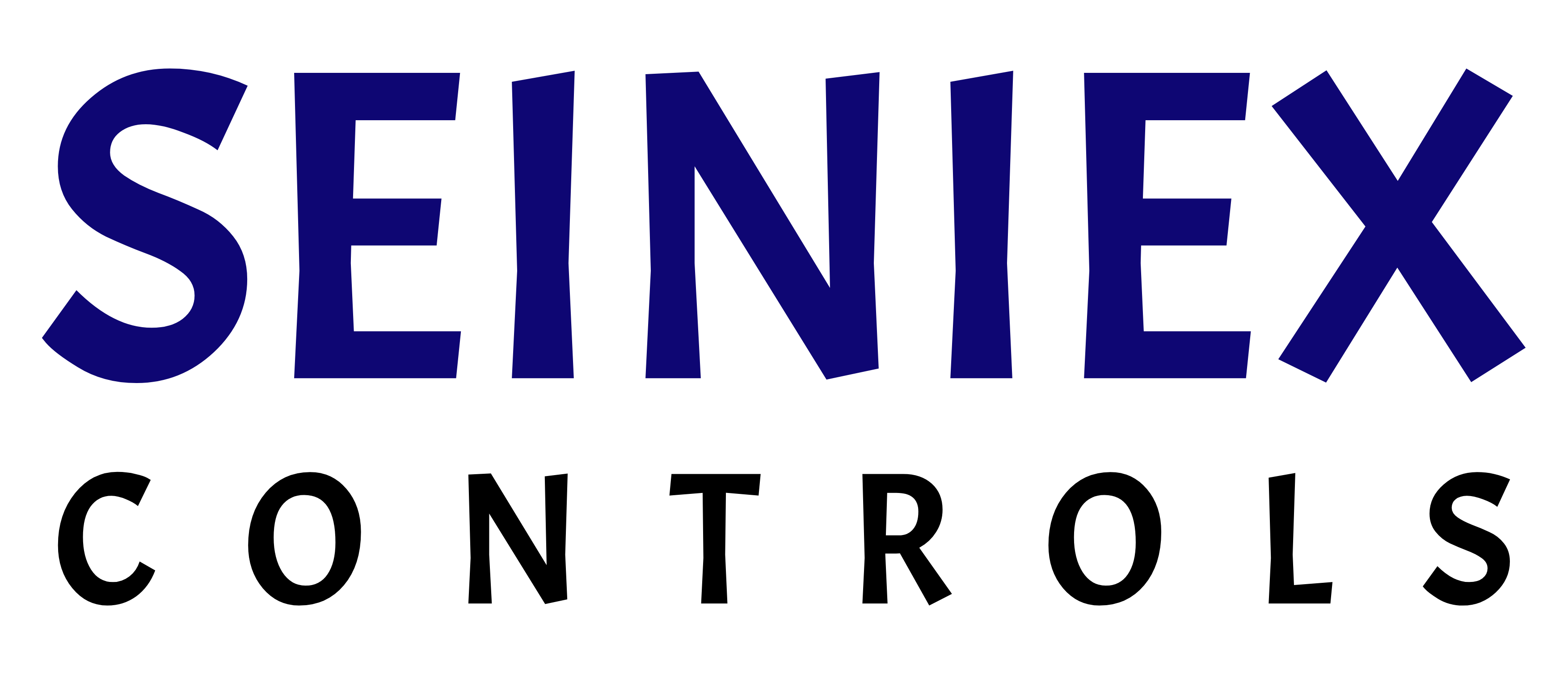Seiniex Controls Logo